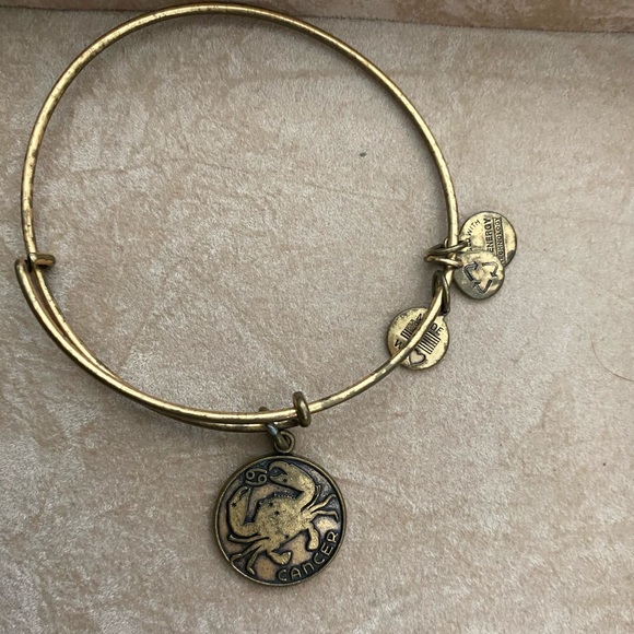 Alex and Ani Set of 4 Bangles - Picture 5 of 5